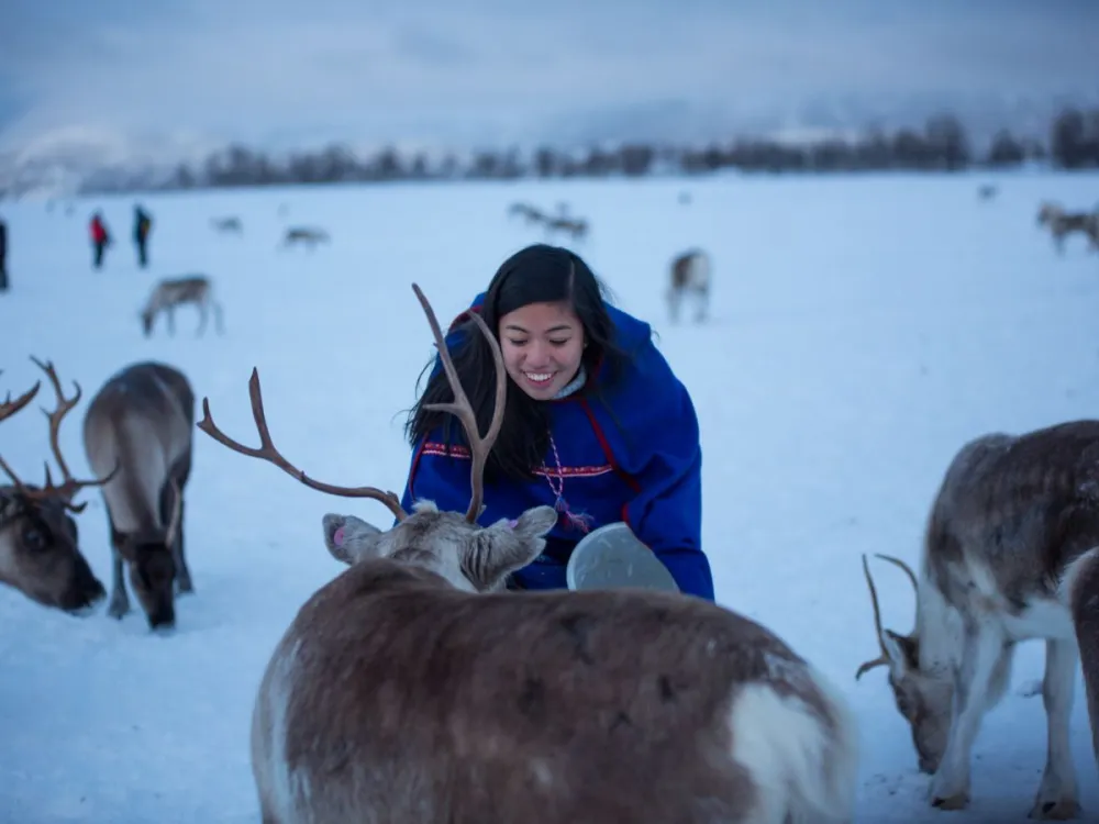 VÅGNES - Reindeer Feeding and Sami Culture