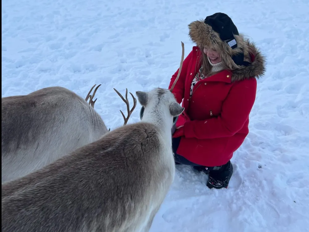 VÅGNES - Snowshoeing with Reindeer