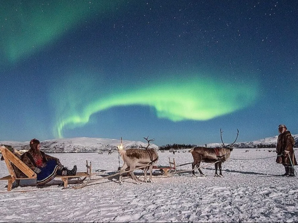 Night Reindeer Sledding with Camp Dinner and Chance of Northern Lights