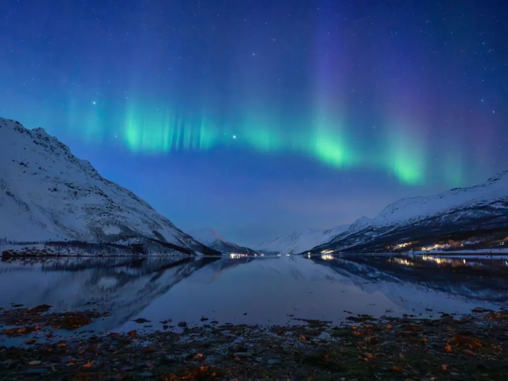 Vågnes - Reindeer Camp Visit & Aurora Chase