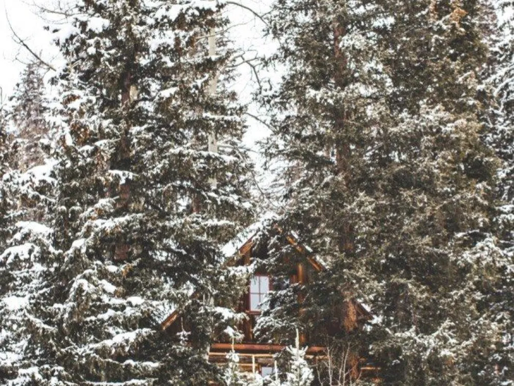 Cabin 2